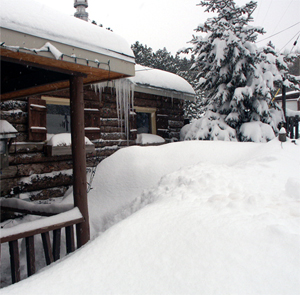 my front yard